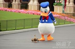 唐老鸭也想妈妈了 唐老鸭也想妈妈了