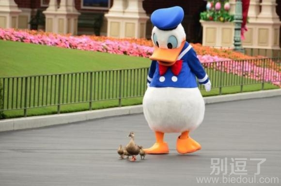 唐老鸭也想妈妈了 唐老鸭也想妈妈了