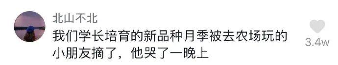 “男生结婚前vs结婚后对比照！”哈哈哈哈哈要不我还是瞎了吧！