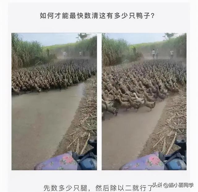 “25岁小伙被40岁阿姨老牛吃嫩草,问题是还很美!”这波真的赚了 “25岁小伙被40岁阿姨老牛吃嫩草,问题是还很美!”这波真的赚了
