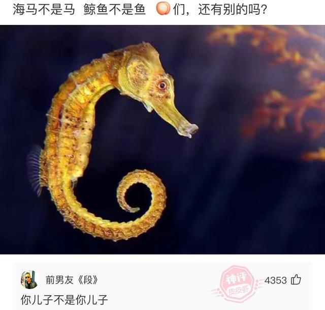 “25岁小伙被40岁阿姨老牛吃嫩草,问题是还很美!”这波真的赚了 “25岁小伙被40岁阿姨老牛吃嫩草,问题是还很美!”这波真的赚了