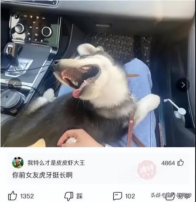 “25岁小伙被40岁阿姨老牛吃嫩草,问题是还很美!”这波真的赚了 “25岁小伙被40岁阿姨老牛吃嫩草,问题是还很美!”这波真的赚了
