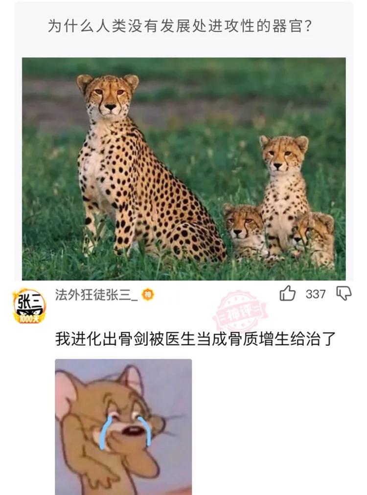 神回复:一个女孩最加分的行为是什么?神评好有道理,我竟然无力反驳 神回复:一个女孩最加分的行为是什么?神评好有道理,我竟然无力反驳
