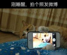 早上起来来个自拍 早上起来来个自拍