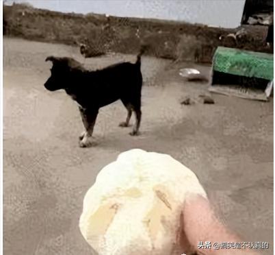 妹子,你是认真的吗,穿着裙子做电焊,就不觉得尴尬吗,长点心吧 妹子,你是认真的吗,穿着裙子做电焊,就不觉得尴尬吗,长点心吧