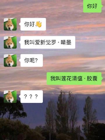 轻松一秒:所谓岁月静好,都是00后在寻衅滋事! 轻松一秒:所谓岁月静好,都是00后在寻衅滋事!