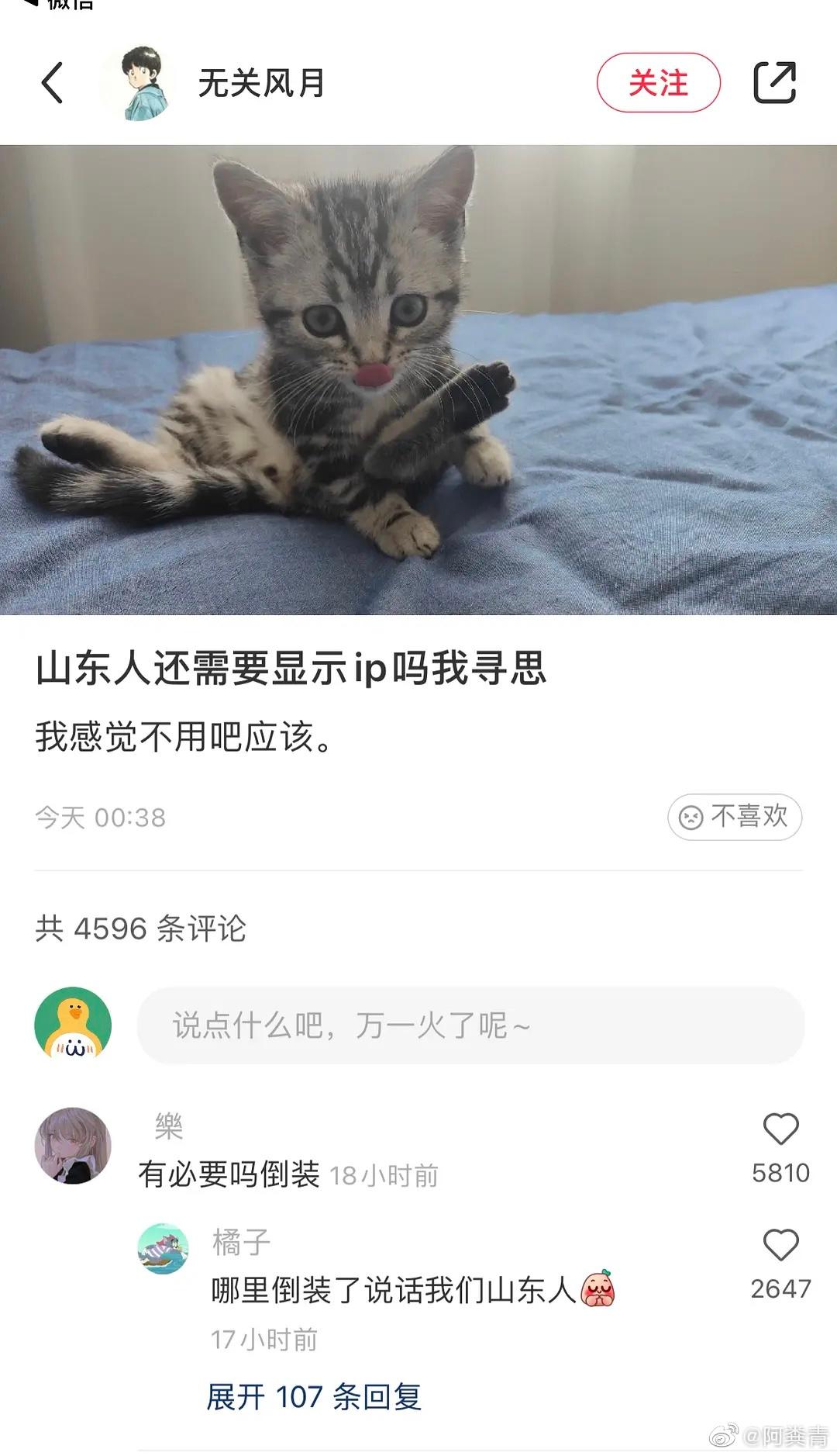 轻松一秒:所谓岁月静好,都是00后在寻衅滋事! 轻松一秒:所谓岁月静好,都是00后在寻衅滋事!