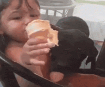 把我的冰激凌还给我