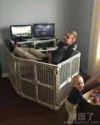 养孩子和养猫一个道理