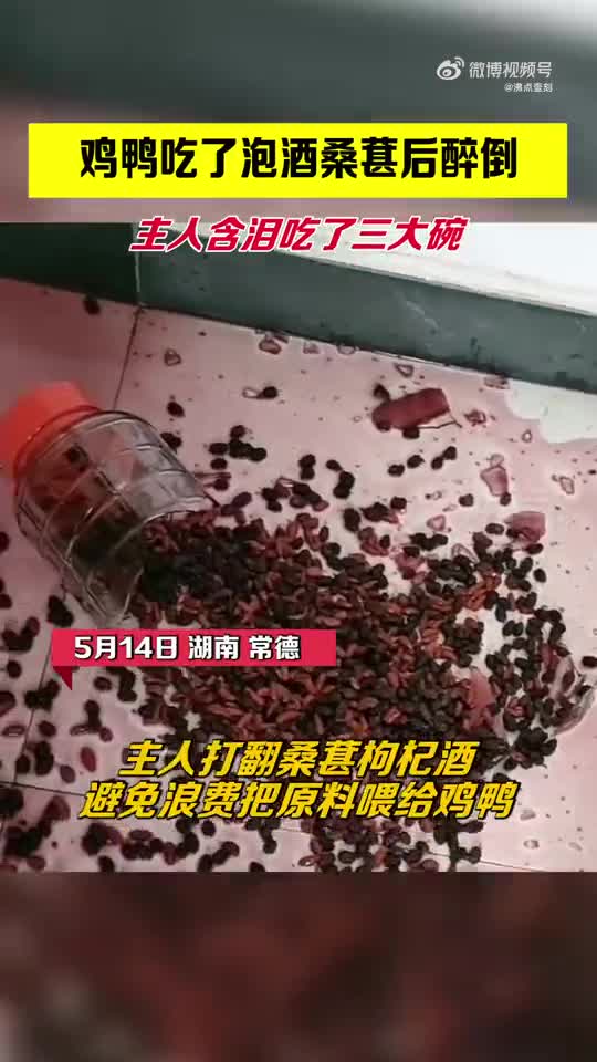轻松一刻：信我，N95内裤是下一个风口！