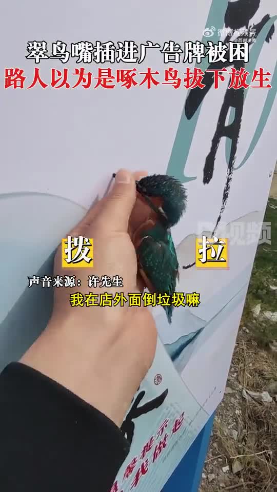 轻松一刻：信我，N95内裤是下一个风口！