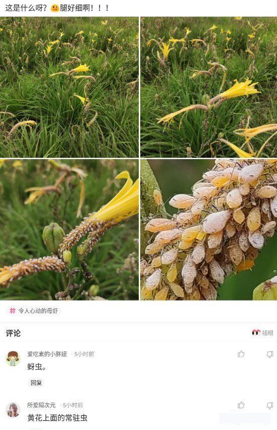 “男友说我裙子太漏,还威胁我不准再穿!这漏吗?”哈哈哈哈哈~ “男友说我裙子太漏,还威胁我不准再穿!这漏吗?”哈哈哈哈哈~