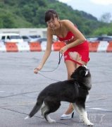 狗狗啊，你这是要逆天啊。