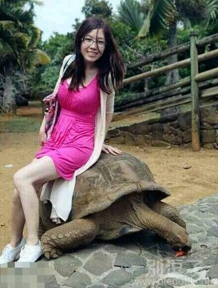 原来妹子喜欢这么大的 原来妹子喜欢这么大的