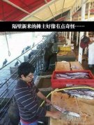 老板你确定你能捞出来吗