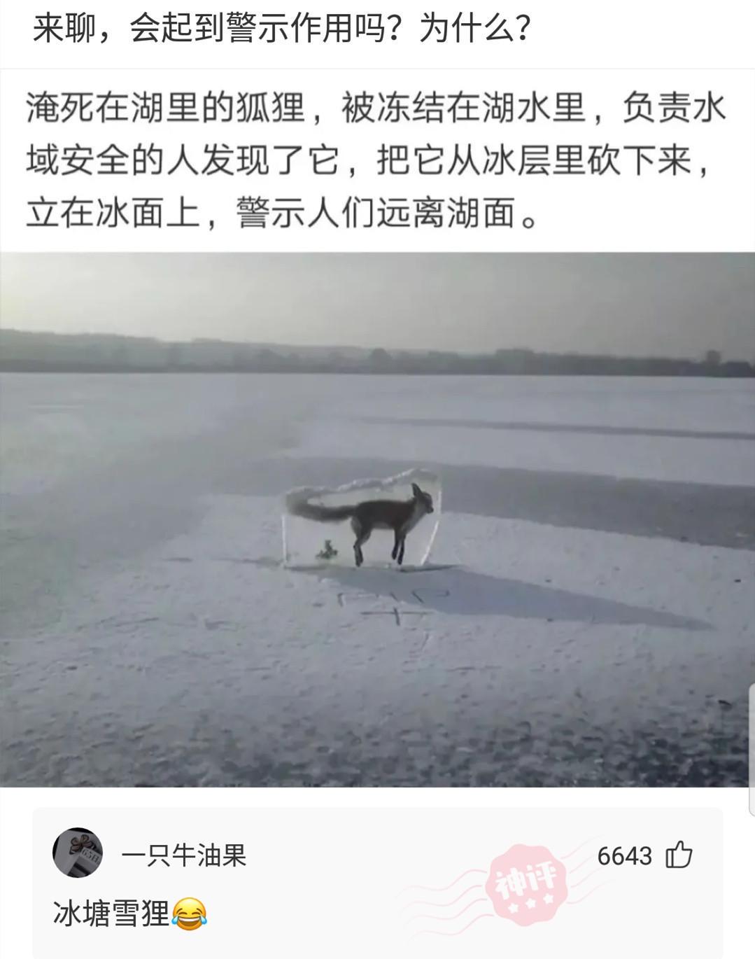 神回复:混黑涩会的人平时都在干什么?神评笑喷我了,说太对了 神回复:混黑涩会的人平时都在干什么?神评笑喷我了,说太对了