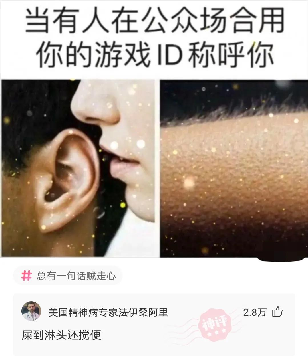 神回复:混黑涩会的人平时都在干什么?神评笑喷我了,说太对了 神回复:混黑涩会的人平时都在干什么?神评笑喷我了,说太对了