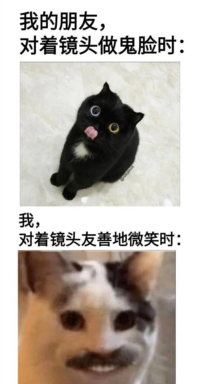 神回复:为什么张大仙一个王者荣耀主播会有这么高的人气 神回复:为什么张大仙一个王者荣耀主播会有这么高的人气
