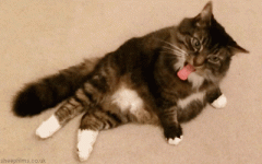 哥，看见我放在桌上的摇头丸了呗