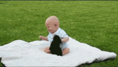 狗狗和孩子绝配 狗狗和孩子绝配