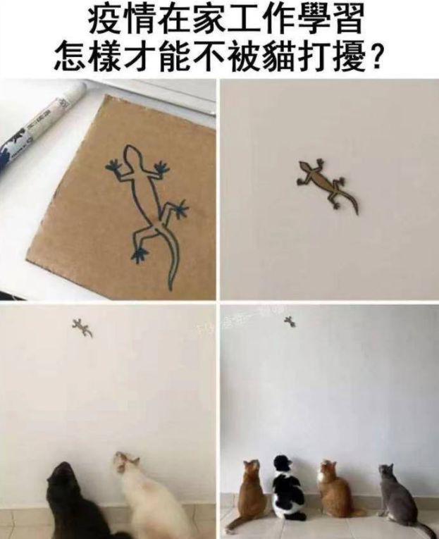 “小伙第一次领工资,带着父亲pc被抓,简直是个大孝子啊!”哈哈哈 “小伙第一次领工资,带着父亲pc被抓,简直是个大孝子啊!”哈哈哈