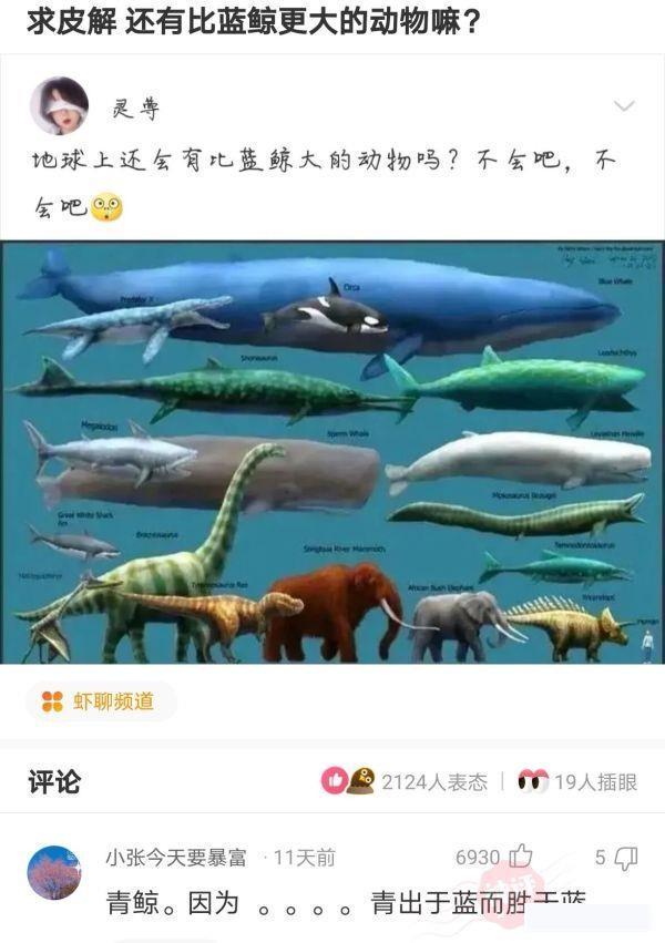 “小伙第一次领工资,带着父亲pc被抓,简直是个大孝子啊!”哈哈哈 “小伙第一次领工资,带着父亲pc被抓,简直是个大孝子啊!”哈哈哈