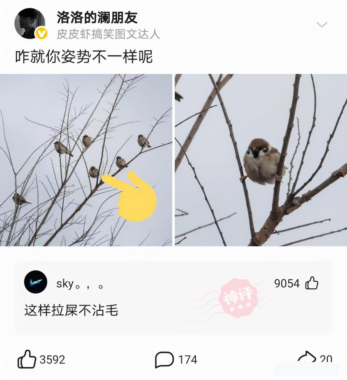 “小伙第一次领工资,带着父亲pc被抓,简直是个大孝子啊!”哈哈哈 “小伙第一次领工资,带着父亲pc被抓,简直是个大孝子啊!”哈哈哈