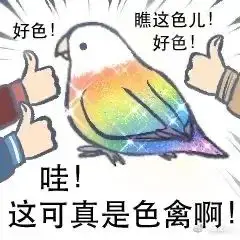 轻松一刻：已婚少妇出轨被耍，什么水这么深？