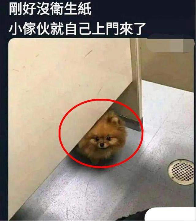 “看完这几位,你觉得谁最漂亮呢?”考验你的眼力! “看完这几位,你觉得谁最漂亮呢?”考验你的眼力!
