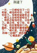 七擒孟获的小猫。