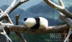看背影好像有情绪了