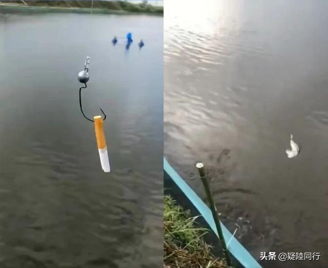 神回复:爸爸带孩子果然优秀 神回复:爸爸带孩子果然优秀