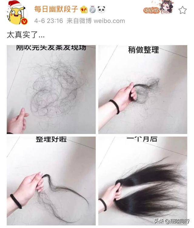 神回复:爸爸带孩子果然优秀 神回复:爸爸带孩子果然优秀