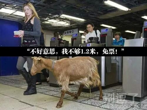 我没有超过一米二呢 我没有超过一米二呢