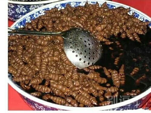 这到底是什么东西 这到底是什么东西