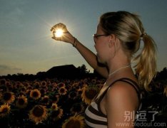 向日葵都低头了。