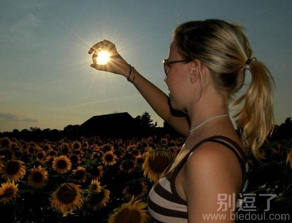 向日葵都低头了。