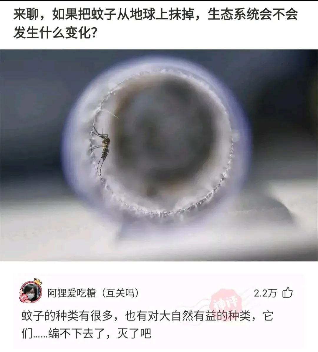 “这么多蛇被火烧了，你见过吗？感觉头皮发麻了！”哈哈哈