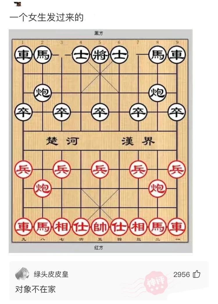 “这么多蛇被火烧了,你见过吗?感觉头皮发麻了!”哈哈哈 “这么多蛇被火烧了,你见过吗?感觉头皮发麻了!”哈哈哈
