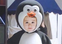 我是一只小企鹅，快乐的小企鹅