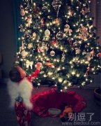 圣诞树上摘一个愿望下来