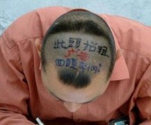 广告都要打到这里了真专业
