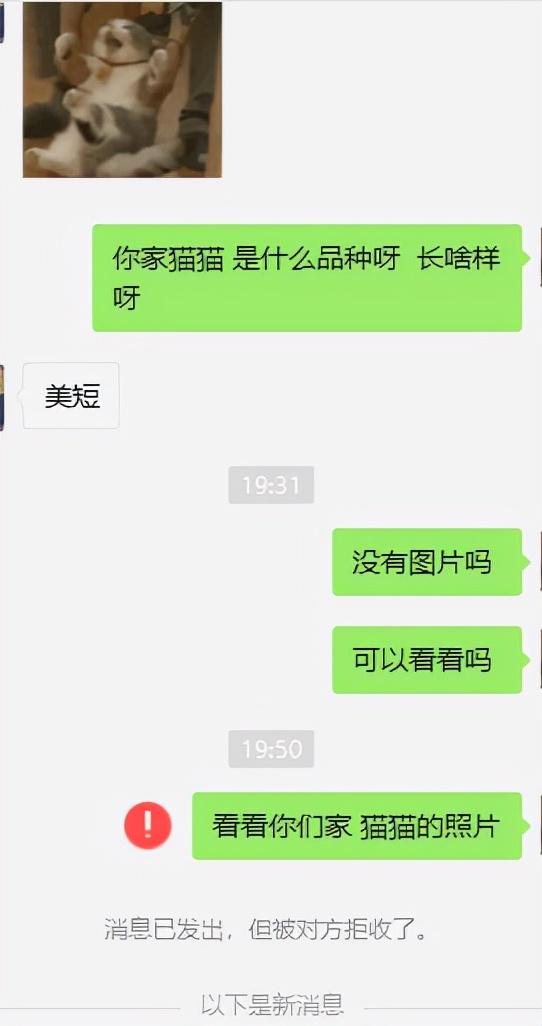 “看电影遇到这种行为,我该怎么办?”网友:劝你不要狗拿耗子! “看电影遇到这种行为,我该怎么办?”网友:劝你不要狗拿耗子!