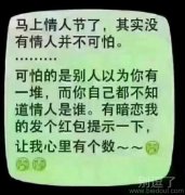 情人节没情人咋办? 情人节没情人咋办?