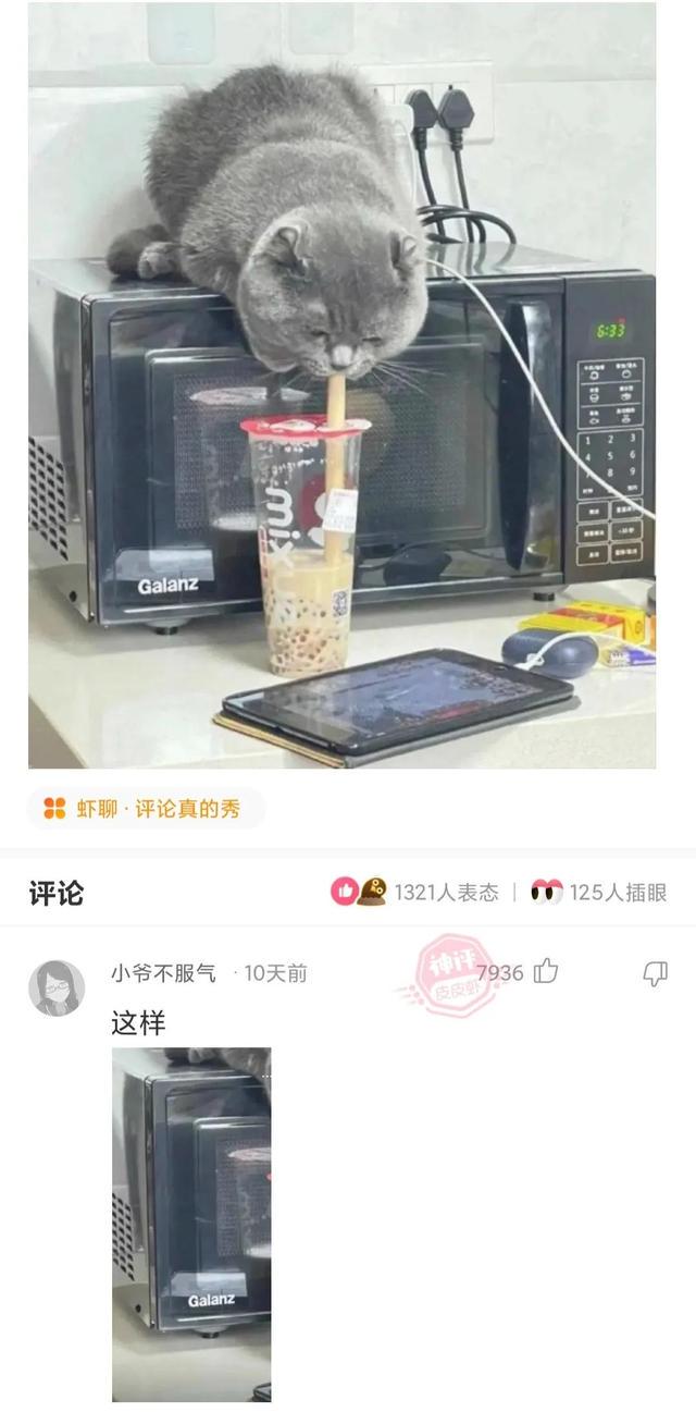 神回复:这是我爸给我介绍的相亲对象,你们说我爸到底什么意思? 神回复:这是我爸给我介绍的相亲对象,你们说我爸到底什么意思?