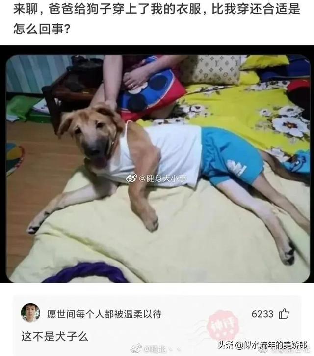 神回复：和对象分手了，说句什么话能让他睡不着？