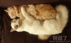 哥哥:抱着睡 妹妹:好舒服!
