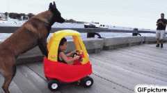 老子都出来遛孩子了