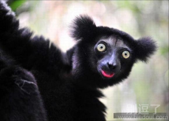 在看啥啊？眼都直了