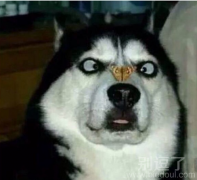 目测可以跨越一整个银河